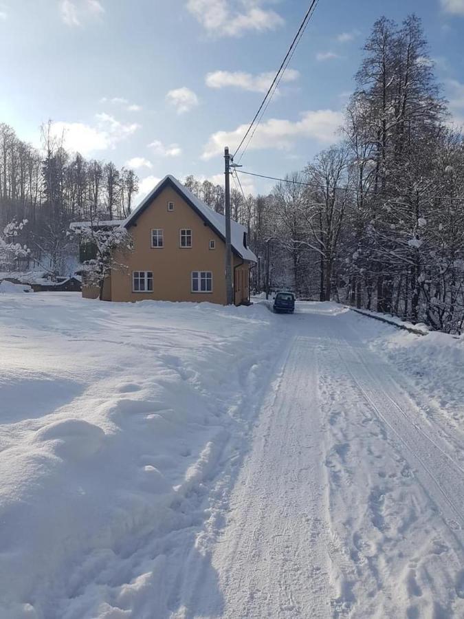 Apartmany Rudnik Bolkov Zewnętrze zdjęcie